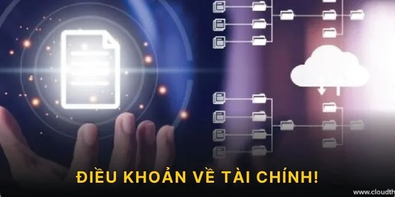 Điều khoản về tài chính